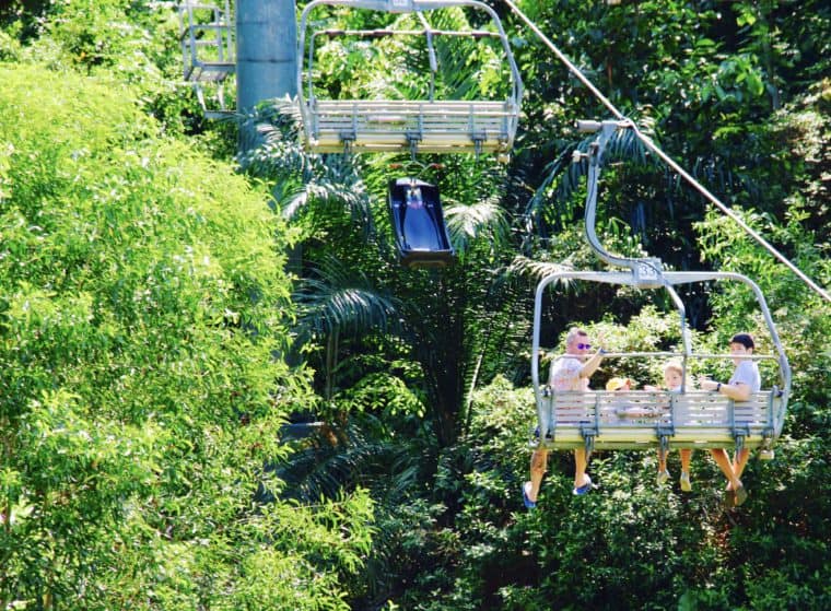 Sentosa Sunday