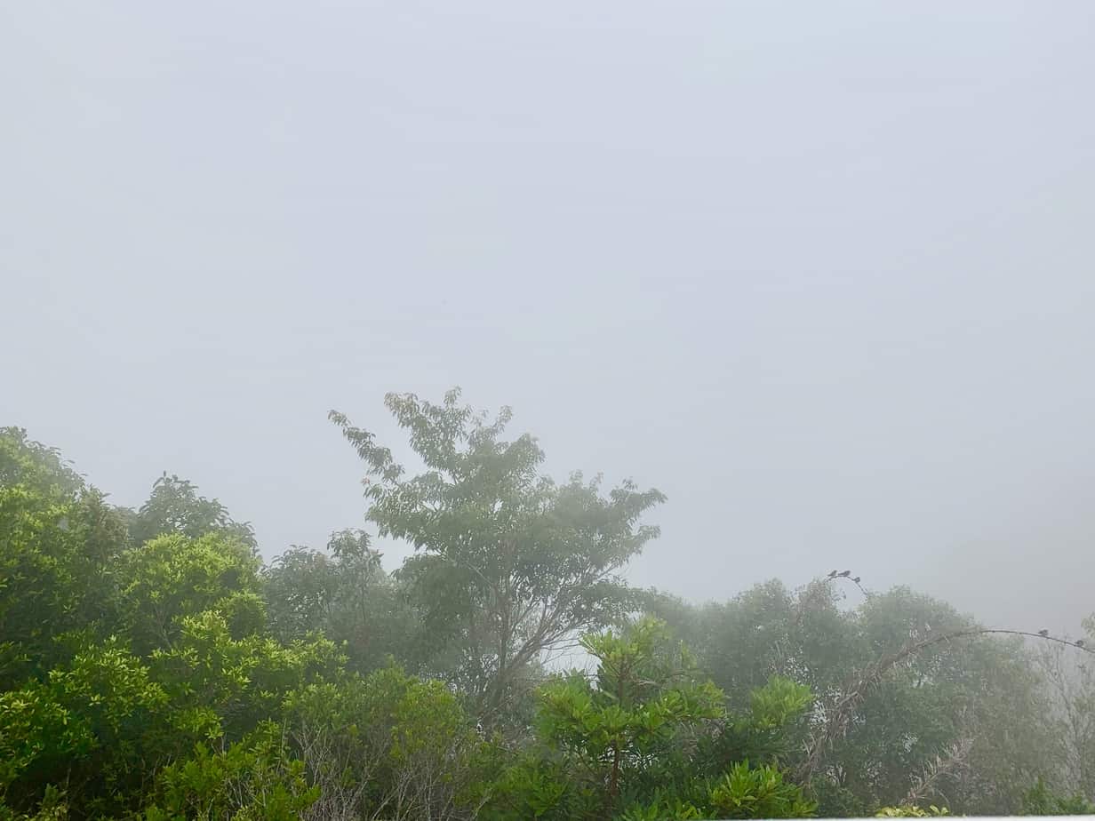 Langkawi 2019 day #2 – #workisover-rated