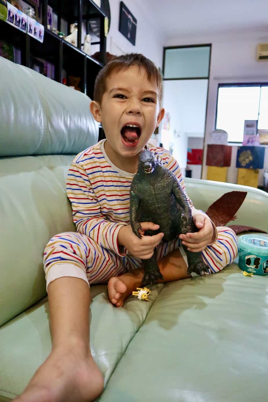 Jude's 6th Birthday - WOW!!!