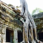 Kennett's Siem Reap, Day #3