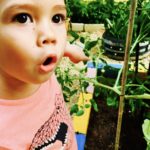 Baby Jude the horticulturist