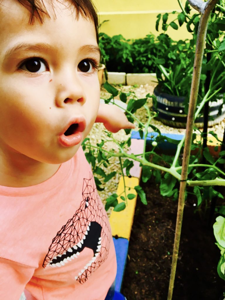 Baby Jude the horticulturist