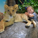 Chiang Mai Tiger Kingdom - the pro photographer steps in for Amy