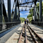 Rail Corridor | Singapore Nature Reserves | Singapore Walking