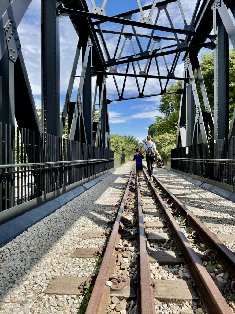 Rail Corridor | Singapore Nature Reserves | Singapore Walking