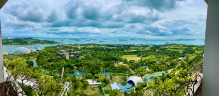 Sky Park views